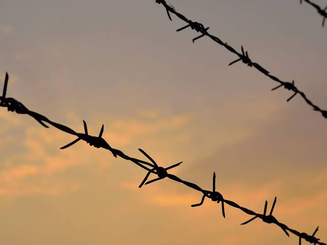 Barbed Wire